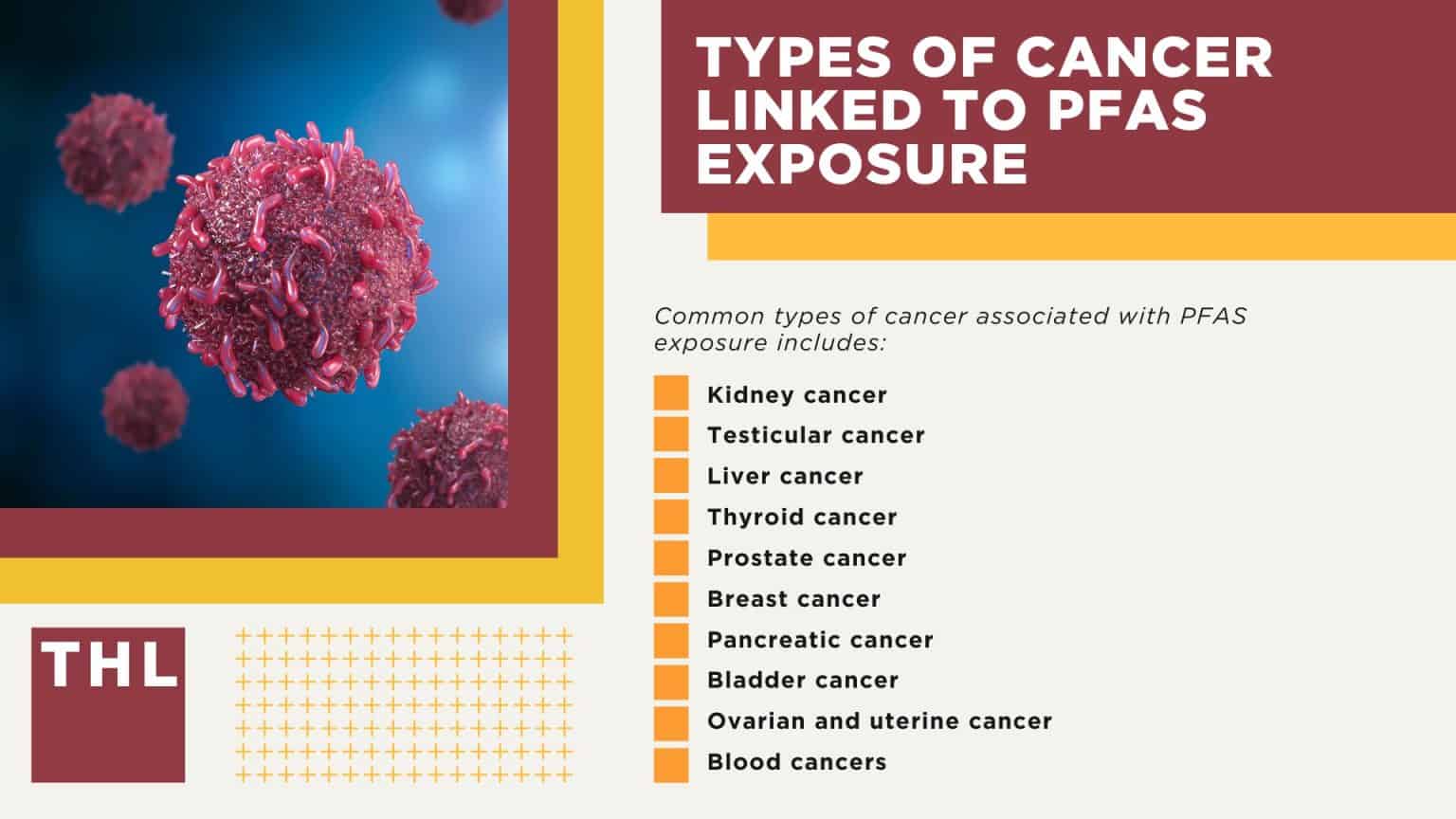 PFAS Cancer Types [2026 Guide] | What Types Of Cancer Are Linked To ...