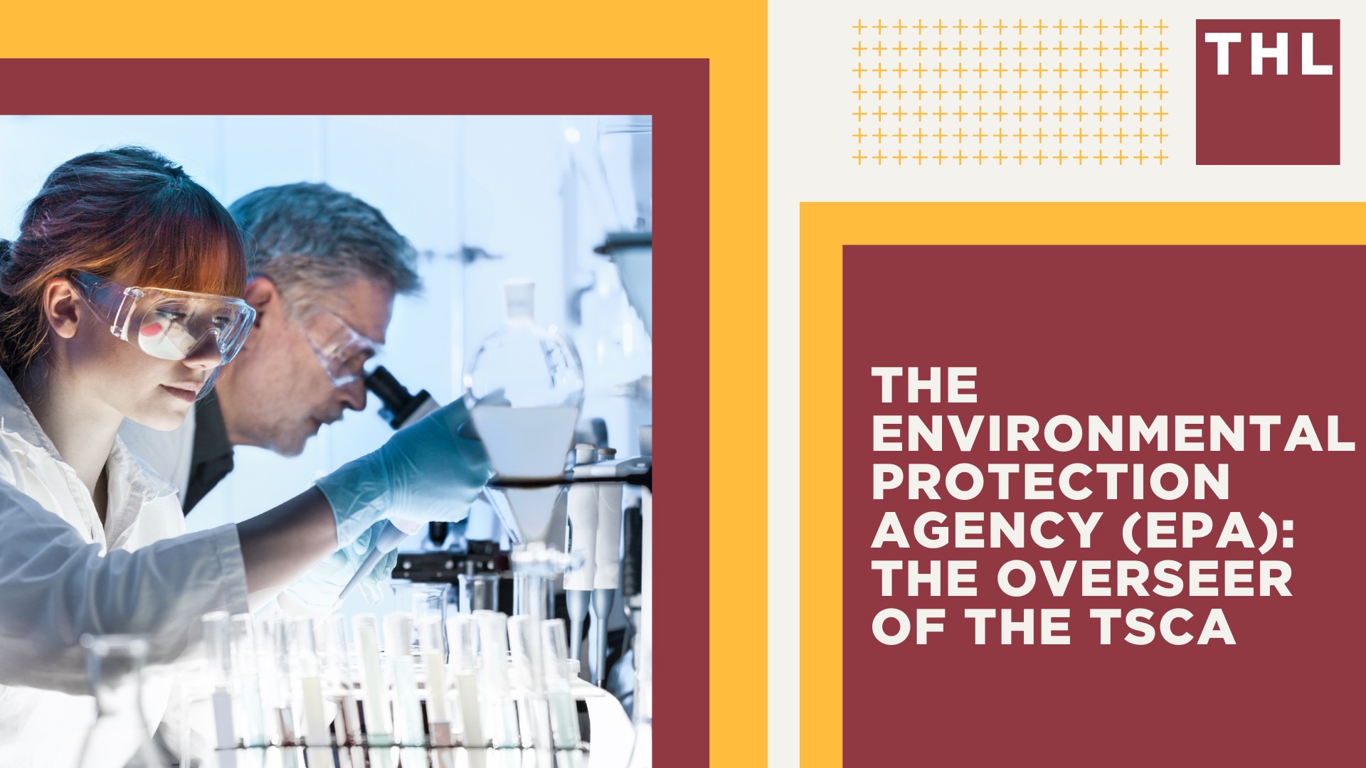 The Extensive History of the TSCA; The Role of the TSCA; What Chemicals Are Regulated Under the TSCA; The Environmental Protection Agency (EPA)_ The Overseer of the TSCA
