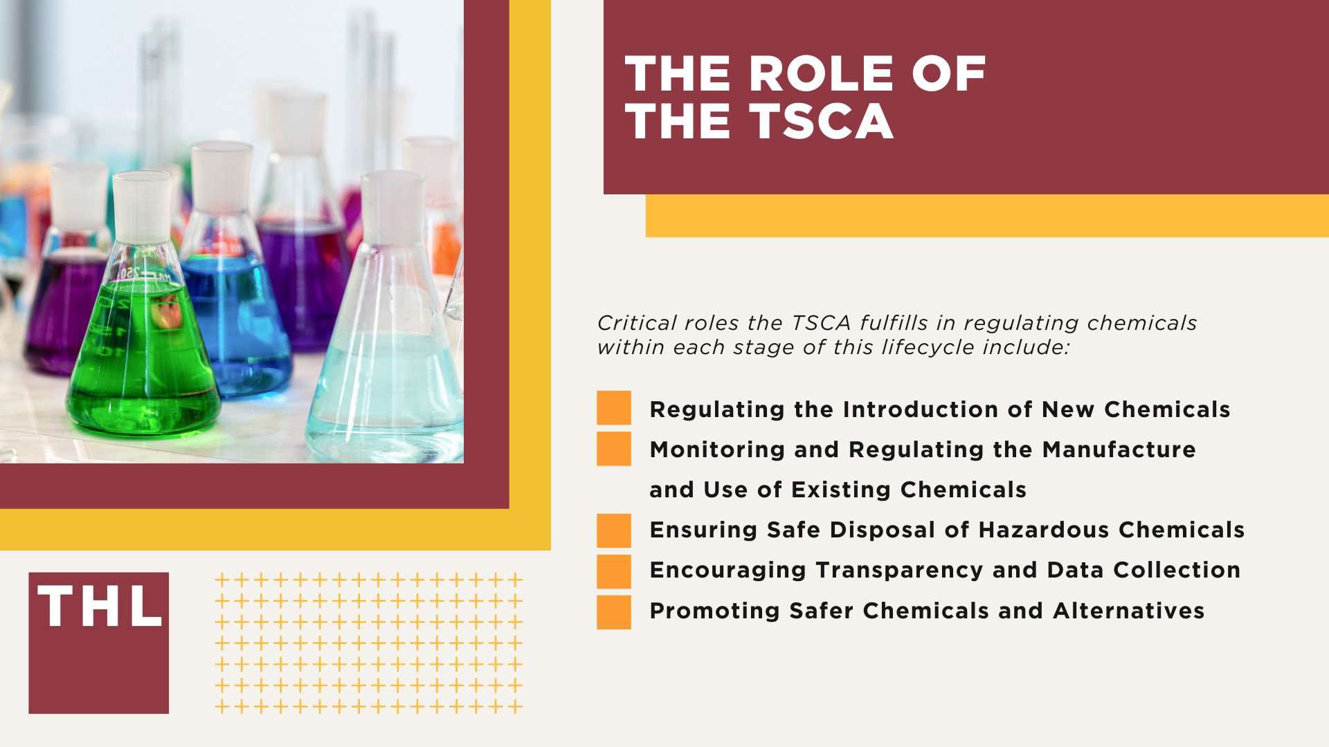 The Extensive History of the TSCA; The Role of the TSCA