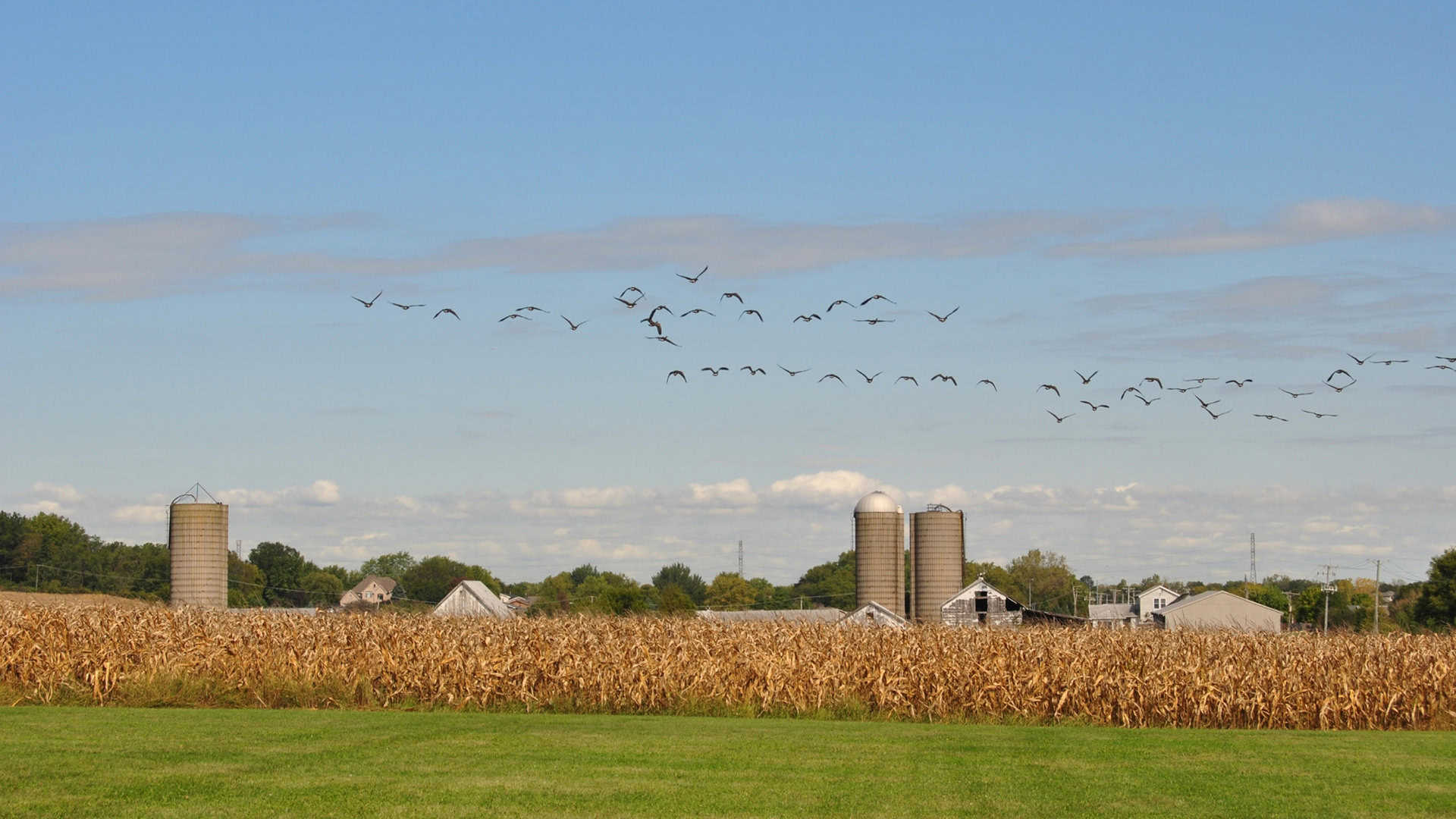 Homer Glen Truck Accident Lawyer