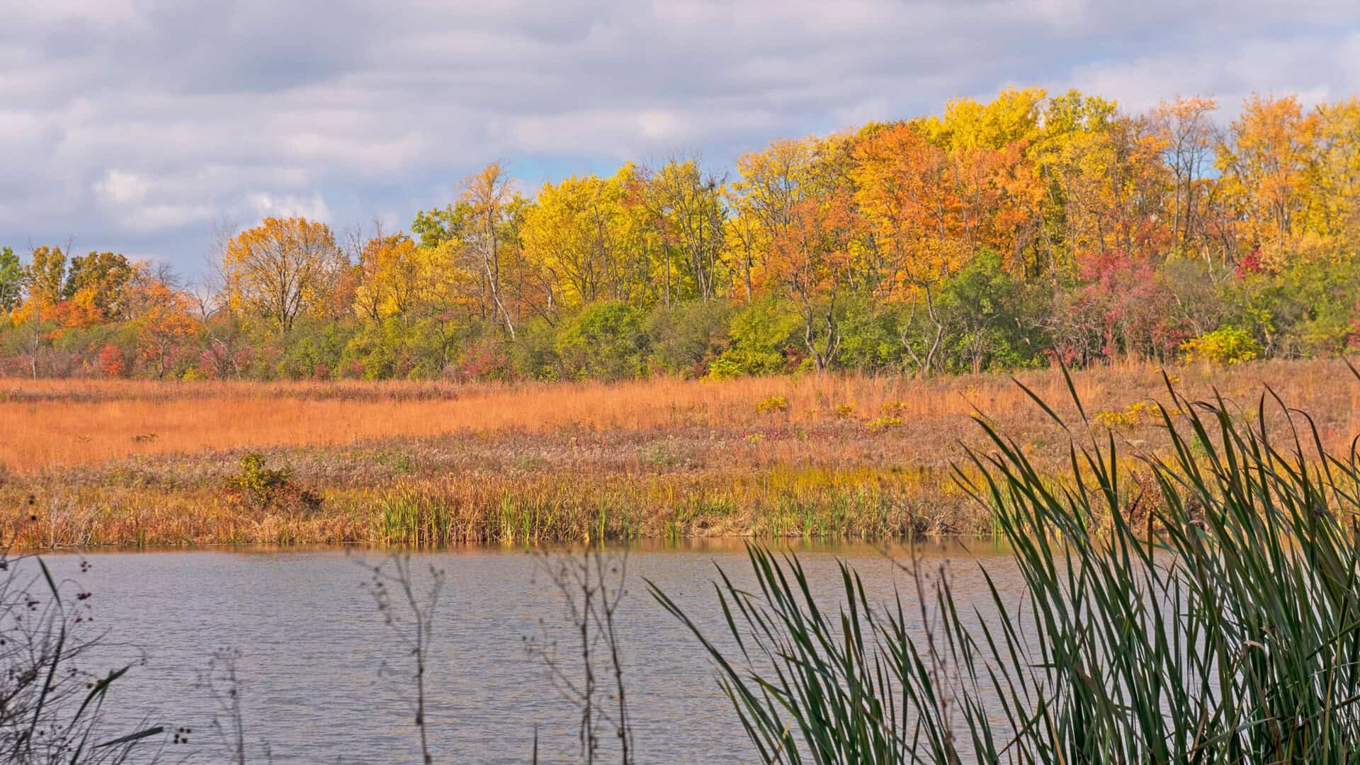 Lake Zurich Car Accident Lawyer