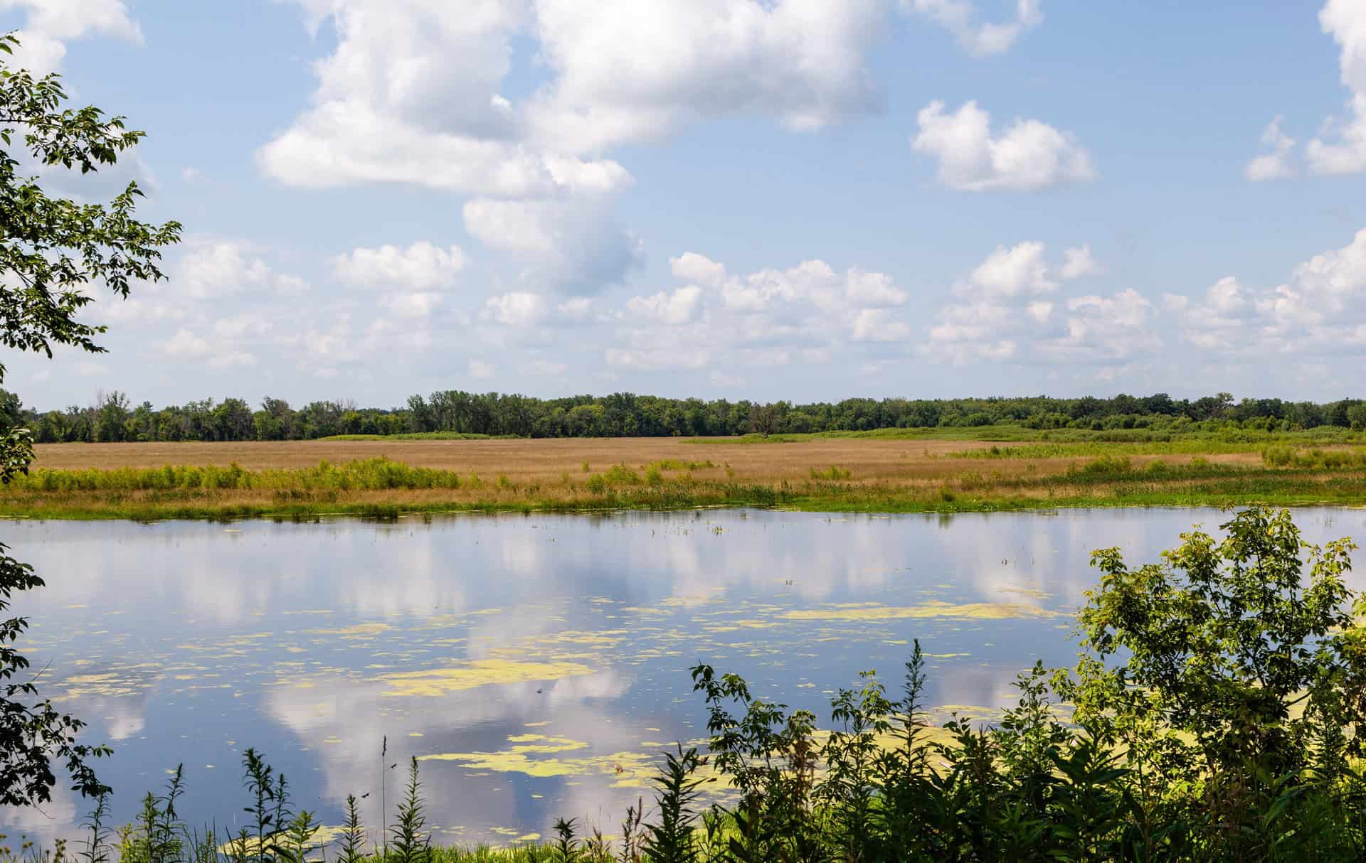 Loves Park Car Accident Lawyer