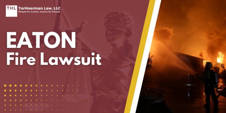 Eaton Fire Lawsuit; An Overview of the Eaton Fire; The Human, Environmental, and Financial Impact of the Eaton Fire; Injuries and Deaths Related to the Eaton Fire; Property Damage Due to the Eaton Fire; Do You Qualify for the Eaton Fire Lawsuit; Gathering Evidence for the Eaton Fire Lawsuit; Damages in Baby Food Lawsuits; TorHoerman Law_ Investigating Claims for the Eaton Fire Lawsuit