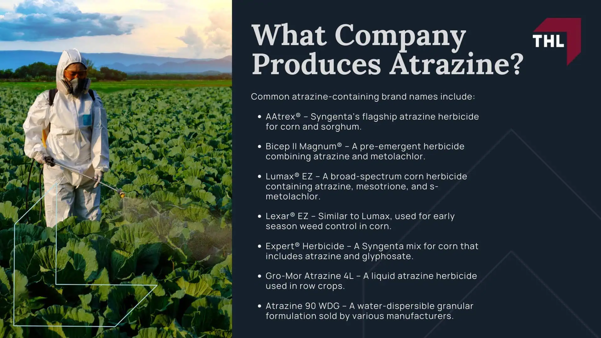 Atrazine Lawsuit - Overview of the Atrazine Lawsuit Investigation - torhoerman law; Atrazine Lawsuit - What is Atrazine - torhoerman law; Atrazine Lawsuit - What Company Produces Atrazine - torhoerman law