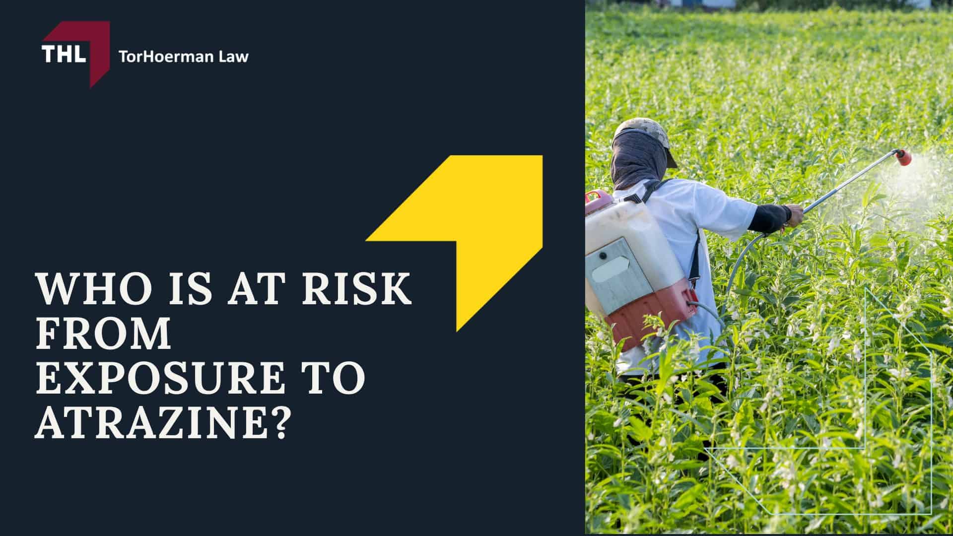 Atrazine Lawsuit - Overview of the Atrazine Lawsuit Investigation - torhoerman law; Atrazine Lawsuit - What is Atrazine - torhoerman law; Atrazine Lawsuit - What Company Produces Atrazine - torhoerman law; Atrazine Lawsuit - Health Risks Associated With Atrazine - torhoerman law; Atrazine Lawsuit - Atrazine Linked to Non-Hodgkin’s Lymphoma Risk - torhoerman law; Atrazine Lawsuit - Other Health Concerns Associated with Atrazine Exposure - torhoerman law; Atrazine Lawsuit - Who Is at Risk From Exposure to Atrazine - torhoerman law