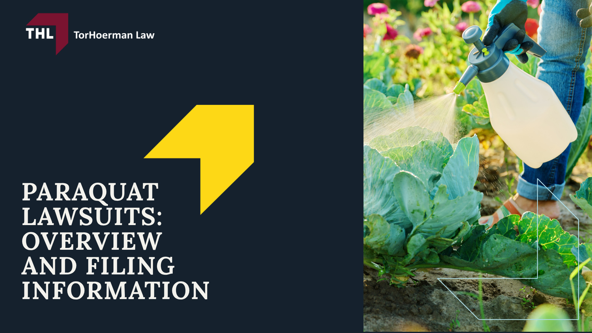 Paraquat Lawsuits_ Overview and Filing Information