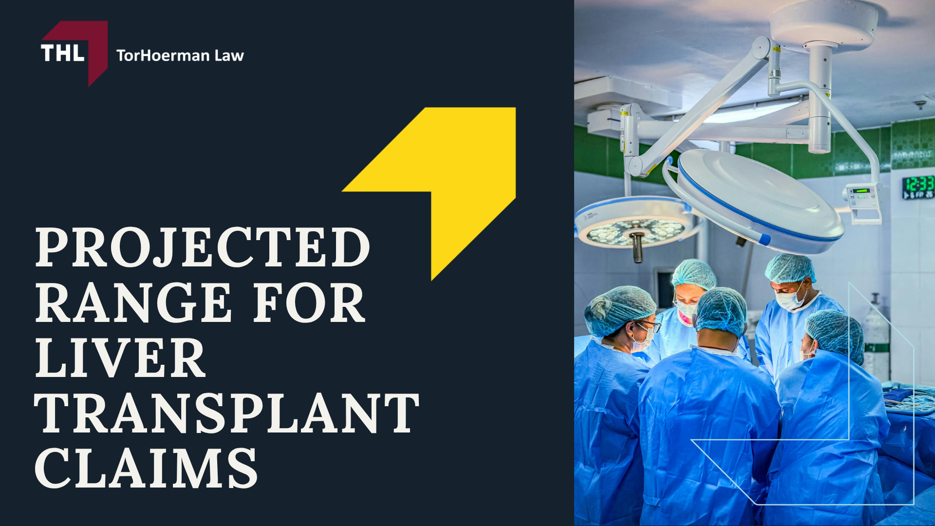 Estimated Ocaliva Lawsuit Settlement Range; Estimated Ocaliva Lawsuit Settlement Range; Projected Range for Wrongful Death Claims; Projected Range for Liver Transplant Claims