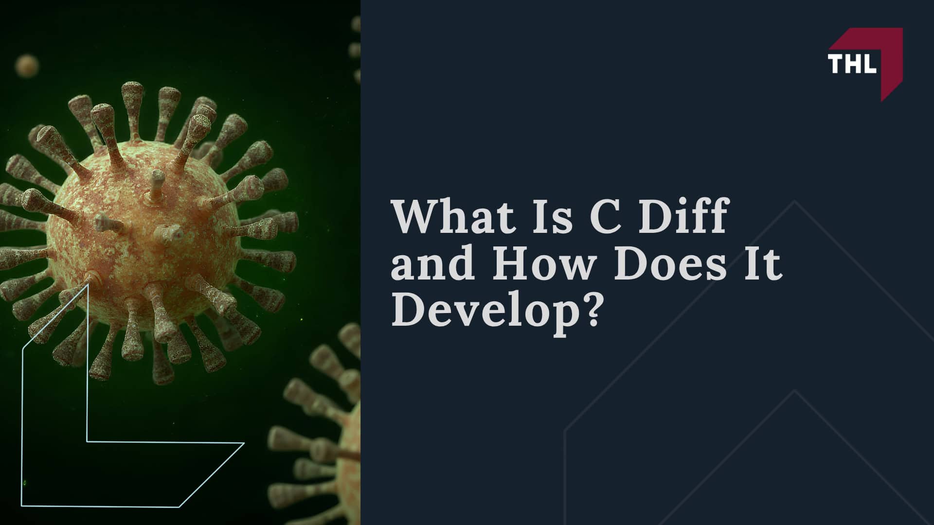 What Is C Diff and How Does It Develop
